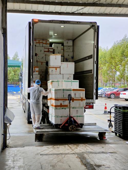 广州冰鲜鸡10小时内到港!穗企加班加点撑稳生鲜供港